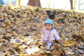 ちゅうりっぷ組　散歩