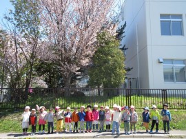 クラスの様子（すみれ組）