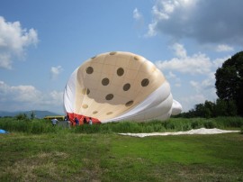 気球イベント(ばら組)