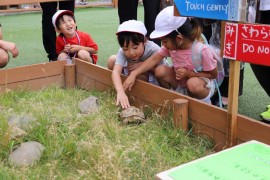 旭山動物園(ばら組)