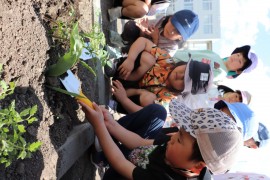 今日のばら組・すみれ組の様子