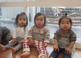 今日のもも組の様子🍑