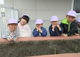 今日のぶどう組の様子🍇