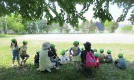 小学校の運動会練習見学（めろん組）