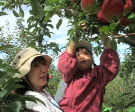 りんご狩り(めろん組)