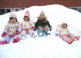 今日のいちご組の様子🍓