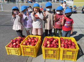 🍎 りんご狩り 🍎