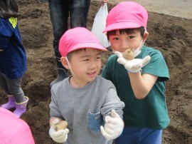 🌱 菜園種植え 🌱