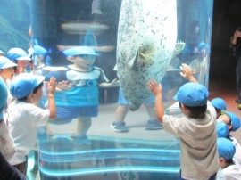 🌻 園外保育 🌻